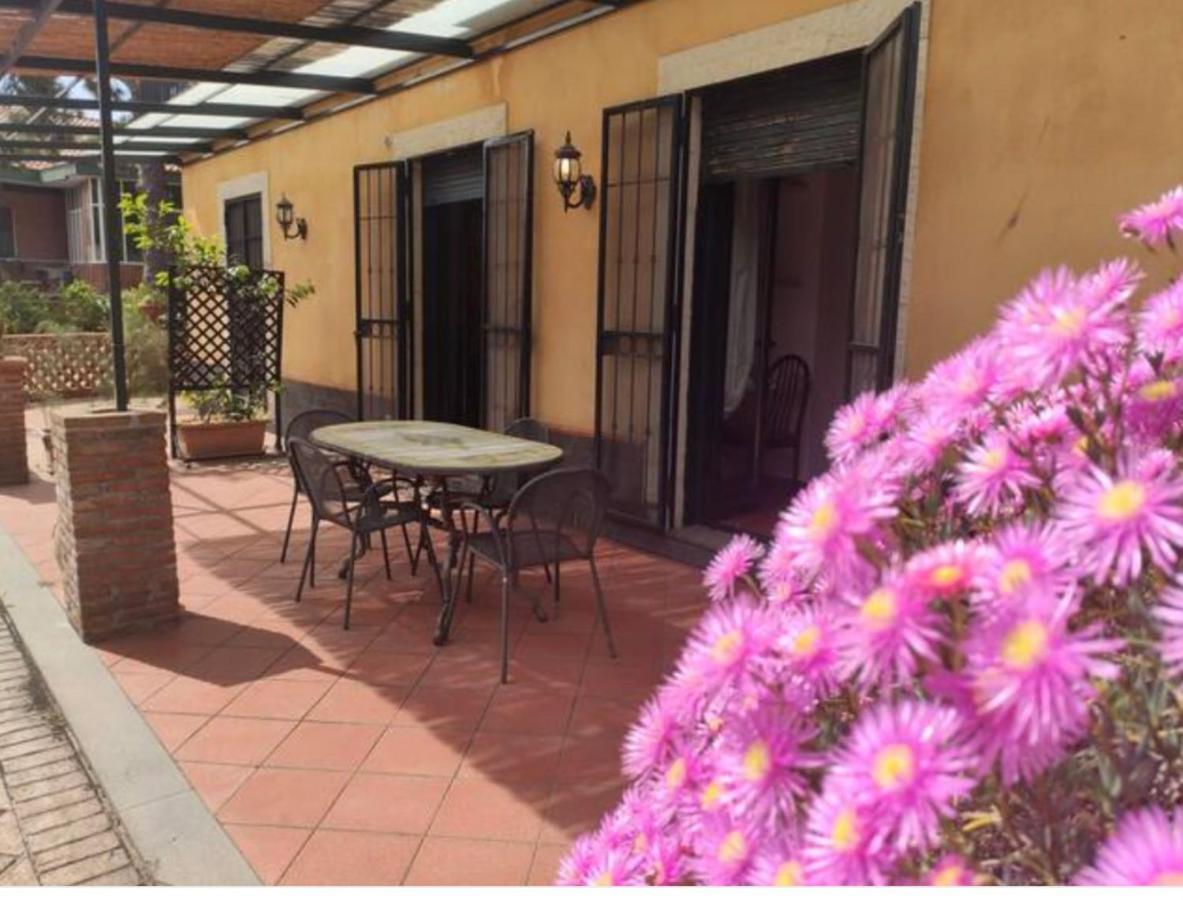 Villa Delle Palme Ачитреца Екстериор снимка